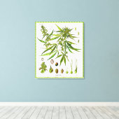 Pflanze Vintag Botanik Zeichnend Wrapped Canvas Leinwanddruck (Insitu (Holzboden))