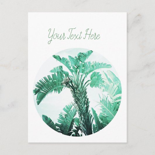 Pflanze von Bananen Postkarte (Vorderseite)