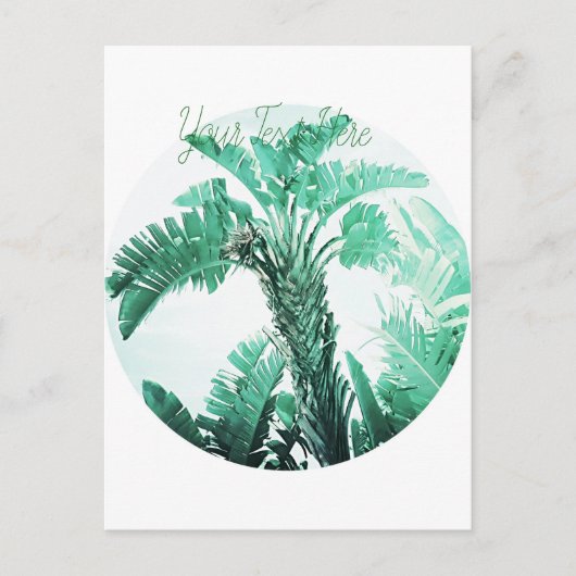Pflanze von Bananen Postkarte (Vorderseite)