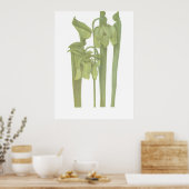 Pflanze von Fleischfressern - Sarracenia flava Poster (Küche)