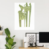 Pflanze von Fleischfressern - Sarracenia flava Poster (Heimbüro)