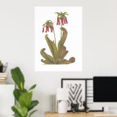 Pflanze von Fleischfressern - Sarracenia psittacin Poster (Heimbüro)
