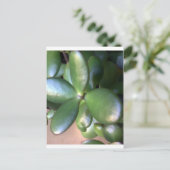 Pflanze von Geld Postkarte (Stehend Vorderseite)