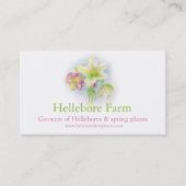 Pflanze von Hellebore Visitenkarte (Vorderseite)