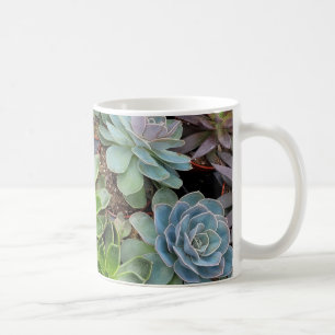 Pflanze von Hühnern und Küken Kaffeetasse