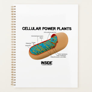 Pflanze von zellulären Powern innerhalb von Mitoch Planer