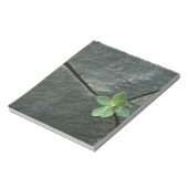 Pflanze wächst im Rackboulder Notizblock (Rotiert)