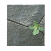 Pflanze wächst im Rackboulder Notizblock (Vorderseite)