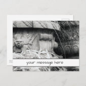 Pflanze weist Schwarz-weiße Frühjahrsmeldung auf Postkarte (Vorne/Hinten)