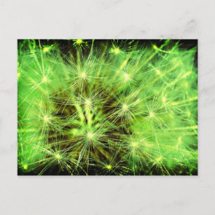 Pflanze Weltraum - Lüstern nah Lomo Postkarte