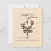 Pflanze Wild Strawberry Latin Etymology Nature Mitteilungskarte (Vorderseite)