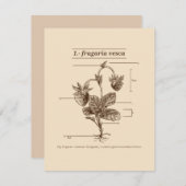 Pflanze Wild Strawberry Latin Etymology Nature Mitteilungskarte (Vorne/Hinten)