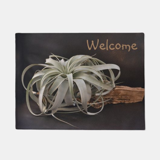 Pflanze Xerographica Fußmatte (Vorderseite)