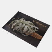 Pflanze Xerographica Fußmatte (Schrägansicht)