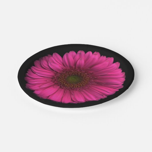 Pflanzen auf Teller-rosa Gänseblümchen Pappteller (Schrägansicht)