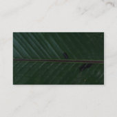 Pflanzen-Banane oben Visitenkarte (Rückseite)