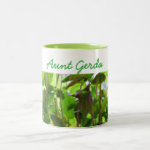 Pflanzen behalten wachsende Samen mit Namen Zweifarbige Tasse (Mittel)