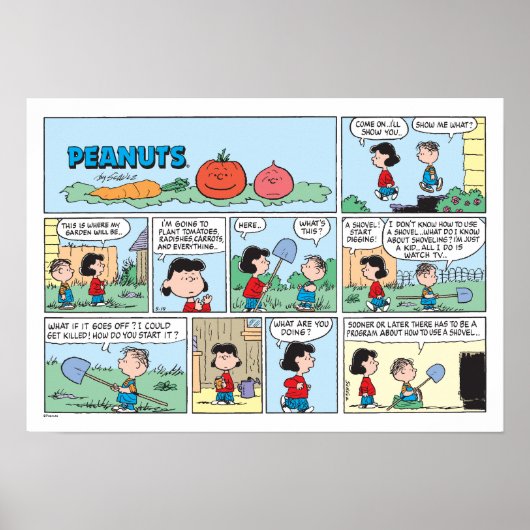 Pflanzen eines Gemüsegartens Poster (Vorne)