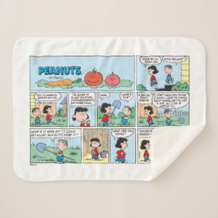 Pflanzen eines Gemüsegartens Sherpadecke