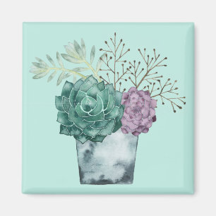 Pflanzen-Glück-Sammlung  Succulents Magnet