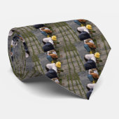 Pflanzen in einer Kette Krawatte (Gerollt)