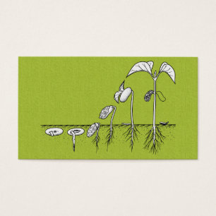 Pflanzen-Keimungs-Illustration