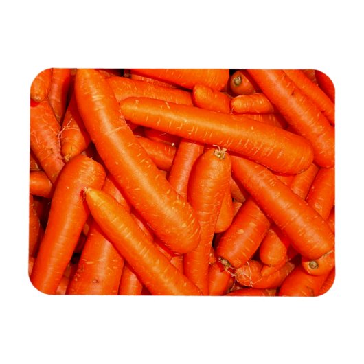 PFLANZEN MAGNET (Horizontal)