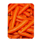 PFLANZEN MAGNET (Vertikal)