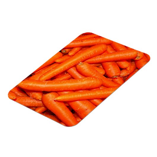 PFLANZEN MAGNET (Linke Seite)