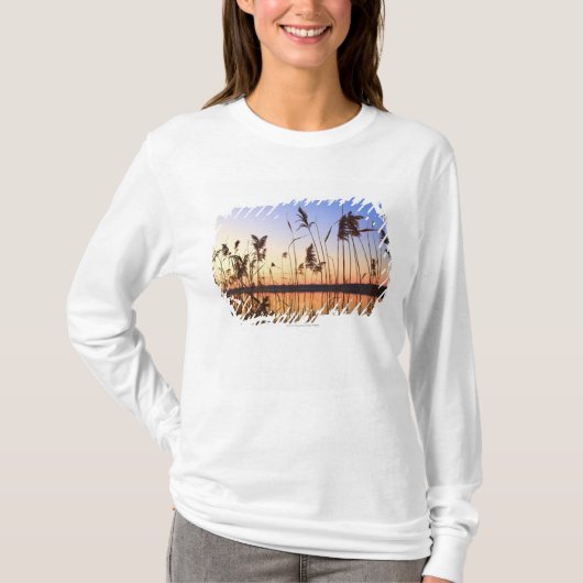 Pflanzen-Silhouette durch Lakesidesonnenuntergang T-Shirt (Vorderseite)
