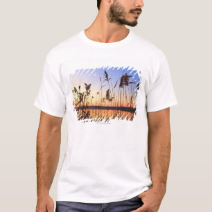 Pflanzen-Silhouette durch Lakesidesonnenuntergang T-Shirt
