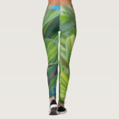 PFLANZENFARBE LEGGINGS (Rückseite)