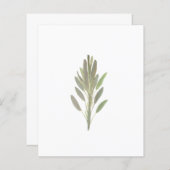 Pflanzenkraut botanische Pflanze Grünpapier Blatt (Vorne/Hinten)