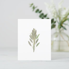 Pflanzenkraut botanische Pflanze Grünpapier Blatt