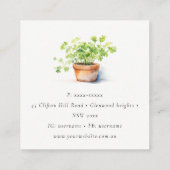 Pflanzenkraut Parsley Coriander Wasserfarbe Botani Quadratische Visitenkarte (Rückseite)