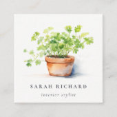 Pflanzenkraut Parsley Coriander Wasserfarbe Botani Quadratische Visitenkarte (Vorderseite)