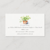 Pflanzenkraut Parsley Coriander Wasserfarbe Botani Visitenkarte (Rückseite)