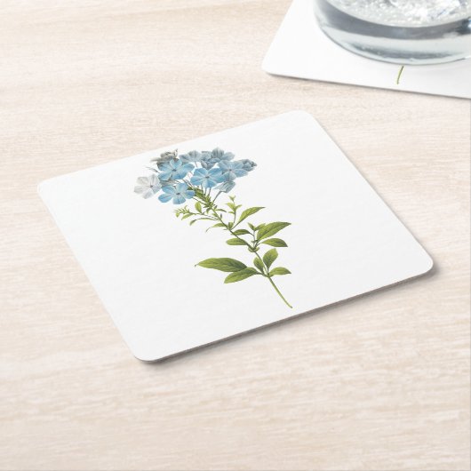 Pflanzenkraut (Plumbago caerulea) von Redouté Rechteckiger Pappuntersetzer (angewinkelt)
