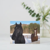 PFLANZENSCHUTZ POSTKARTE (Stehend Vorderseite)