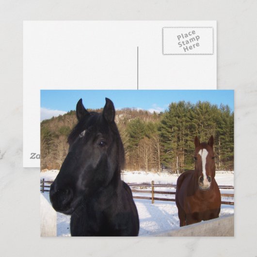 PFLANZENSCHUTZ POSTKARTE (Vorne/Hinten)