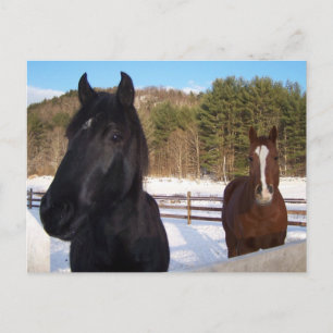 PFLANZENSCHUTZ POSTKARTE