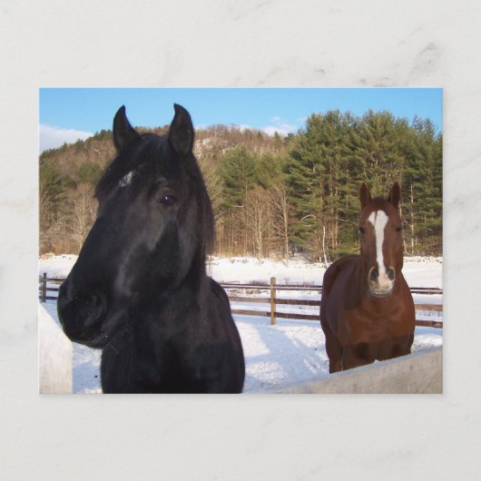 PFLANZENSCHUTZ POSTKARTE (Vorderseite)