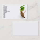 Pflanzensprösslinge der süßen Kartoffel Visitenkarte (Vorne/Hinten)