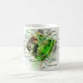 Pflanzenzelle Kaffeetasse