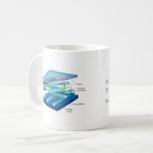 PflanzenZellwanddiagramm Kaffeetasse (Vorderseite Links)