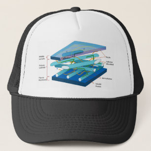 PflanzenZellwanddiagramm Truckerkappe