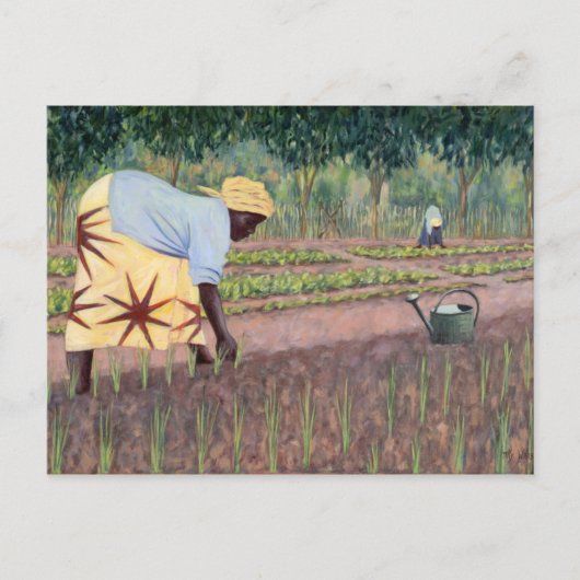 Pflanzenzüchtungen 2005 postkarte (Vorderseite)