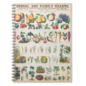 Pflanzliches Pflanzposter Notizblock (Vorderseite)