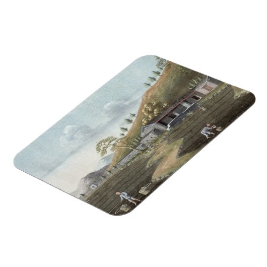 Pflanzung von Tee (mit g/c auf Papier) Magnet (Linke Seite)