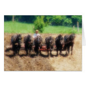 Pflanzzeit (Vorderseite (Horizontal))